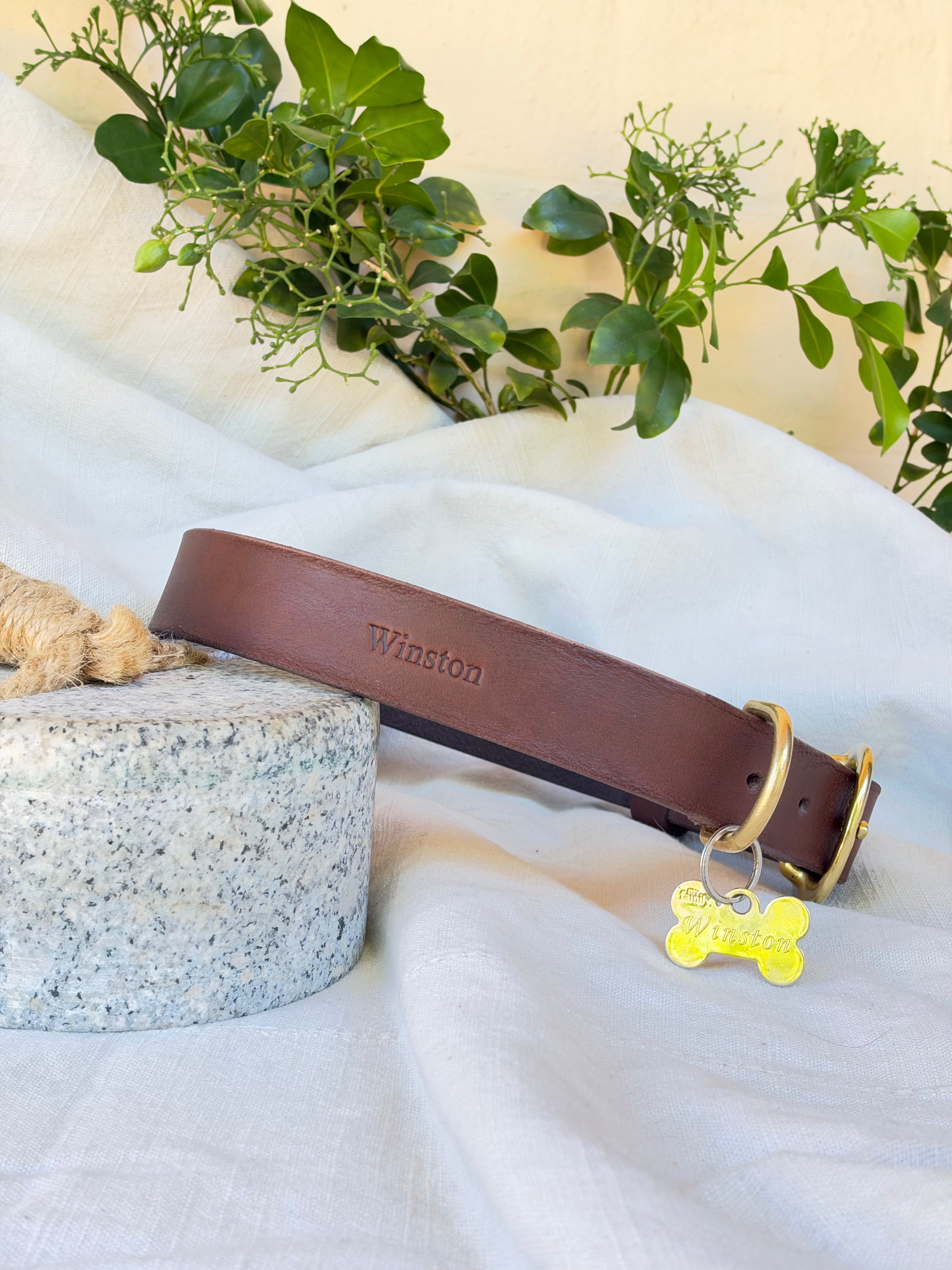 Signature Dog Collar in Brown