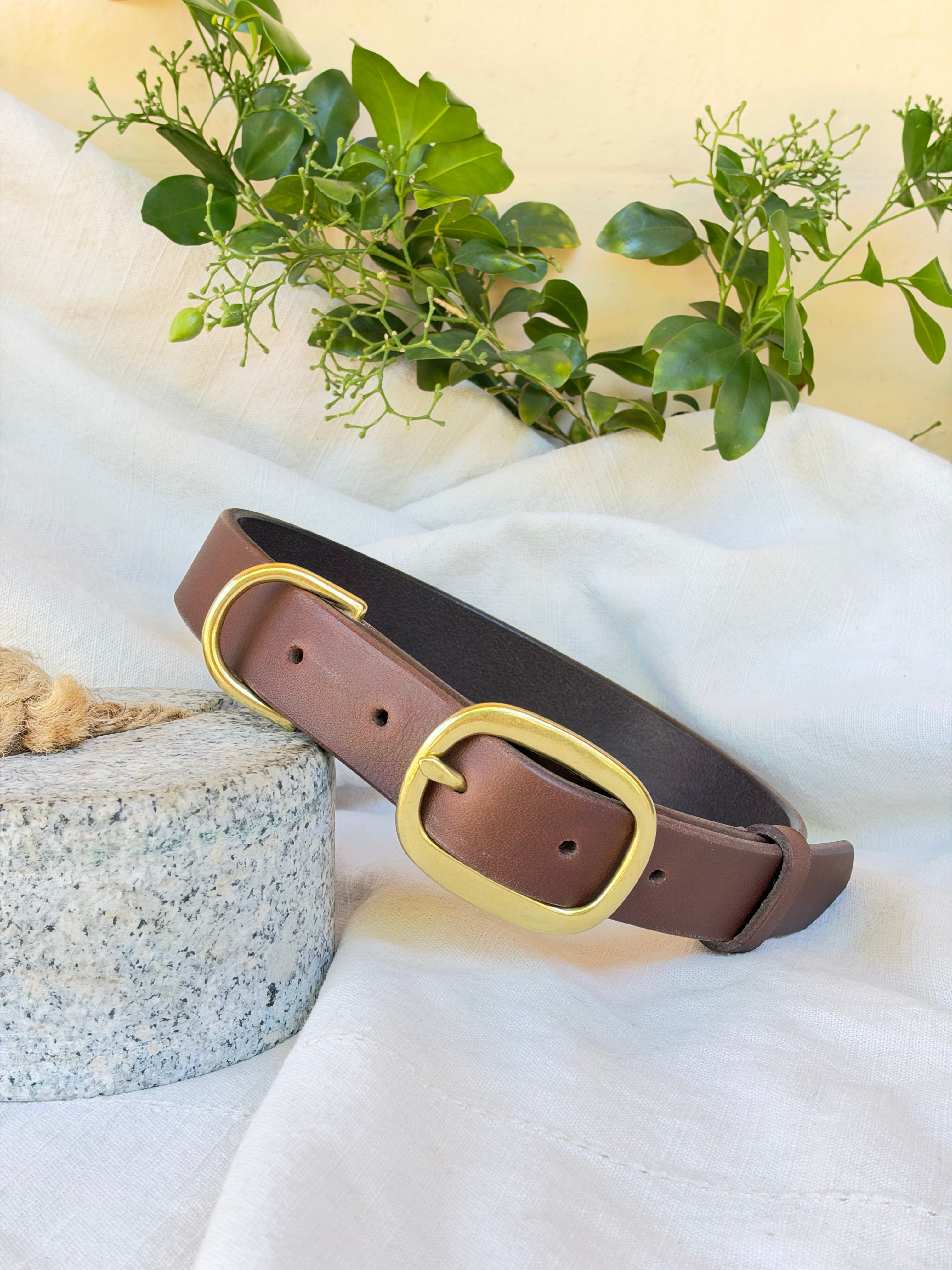 Signature Dog Collar in Brown