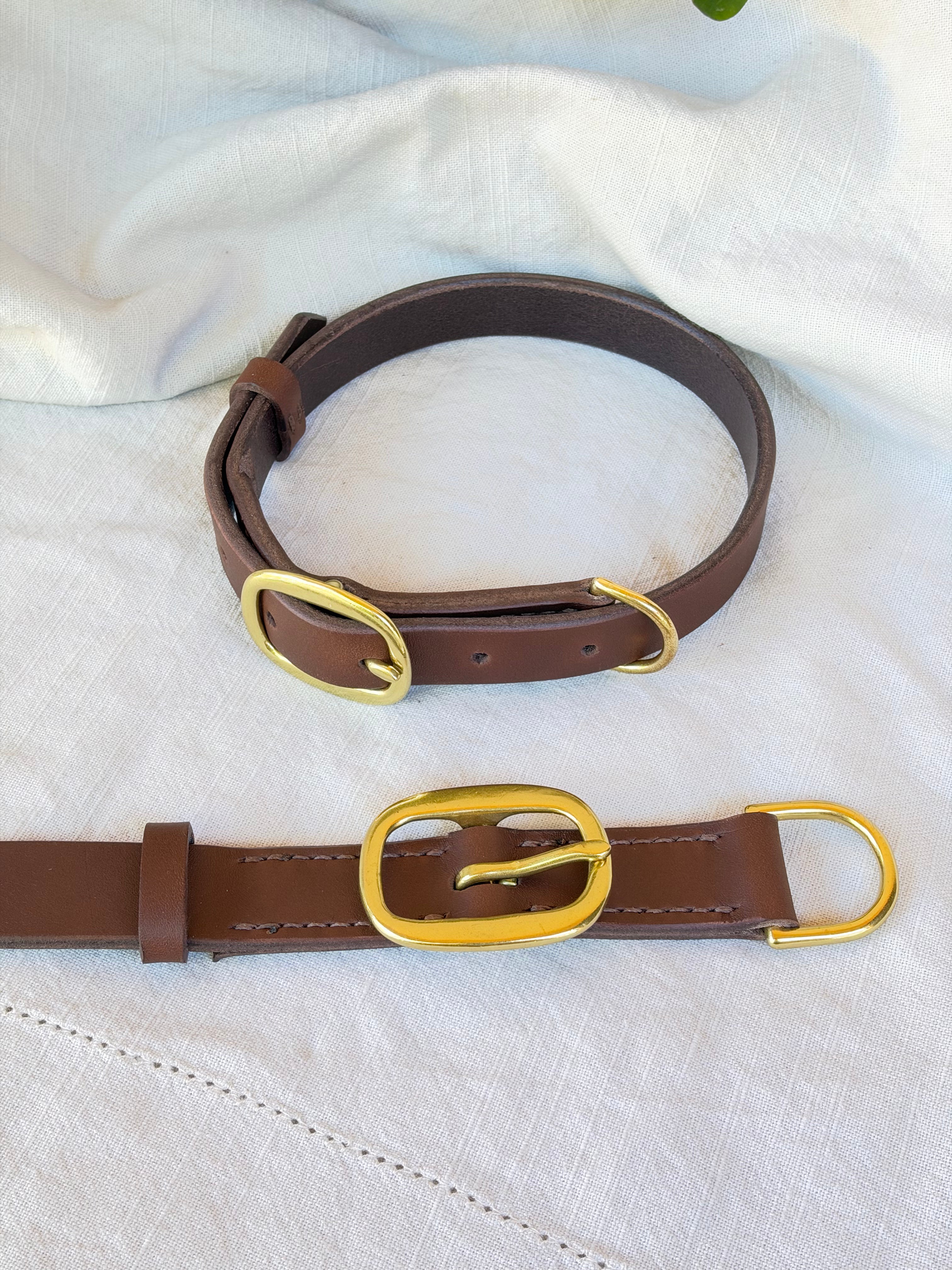 Signature Dog Collar in Brown
