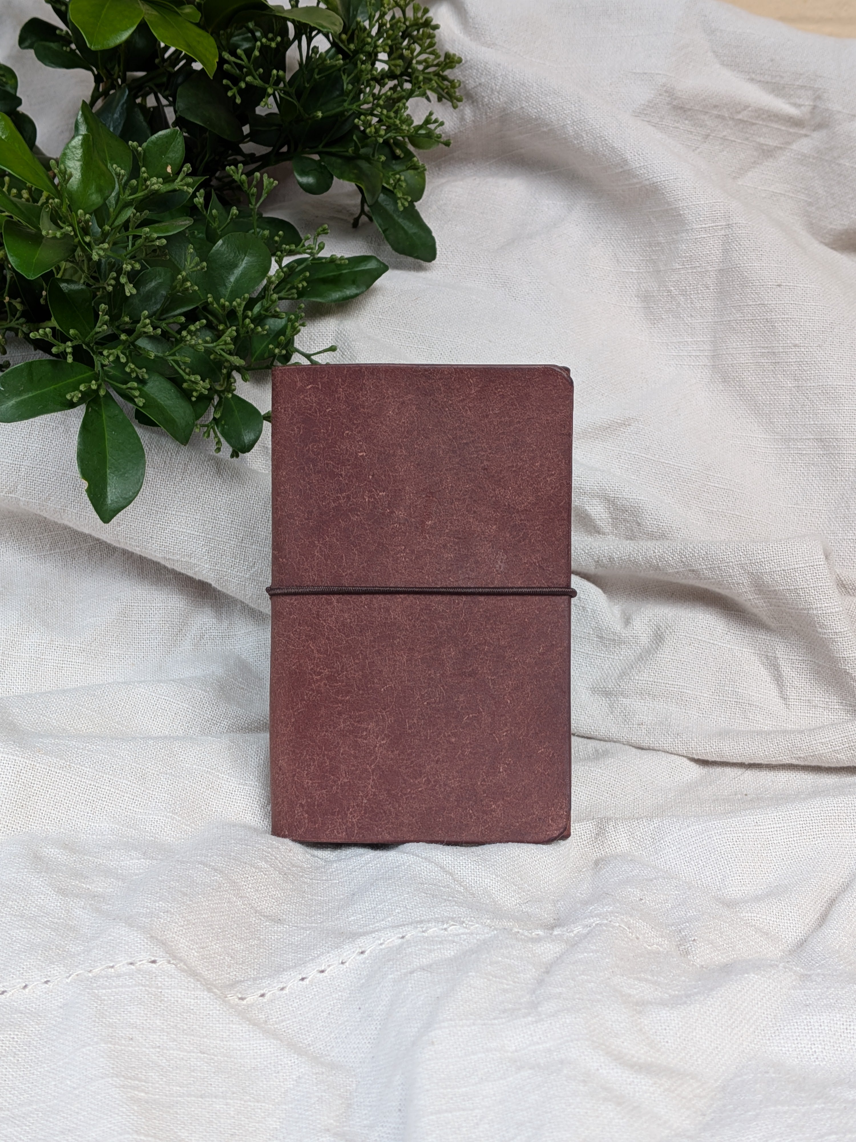 The Card Pouch in Brown