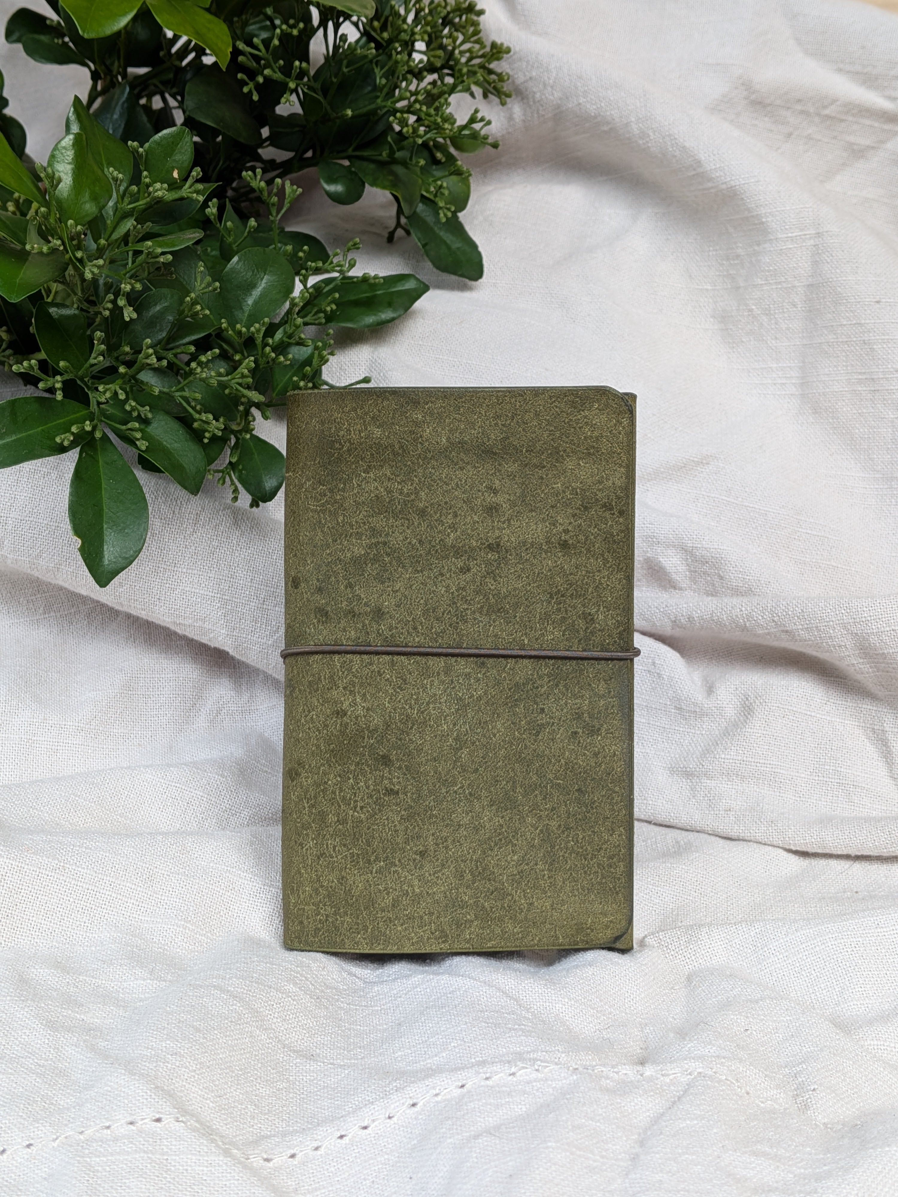 The Card Pouch in Olive